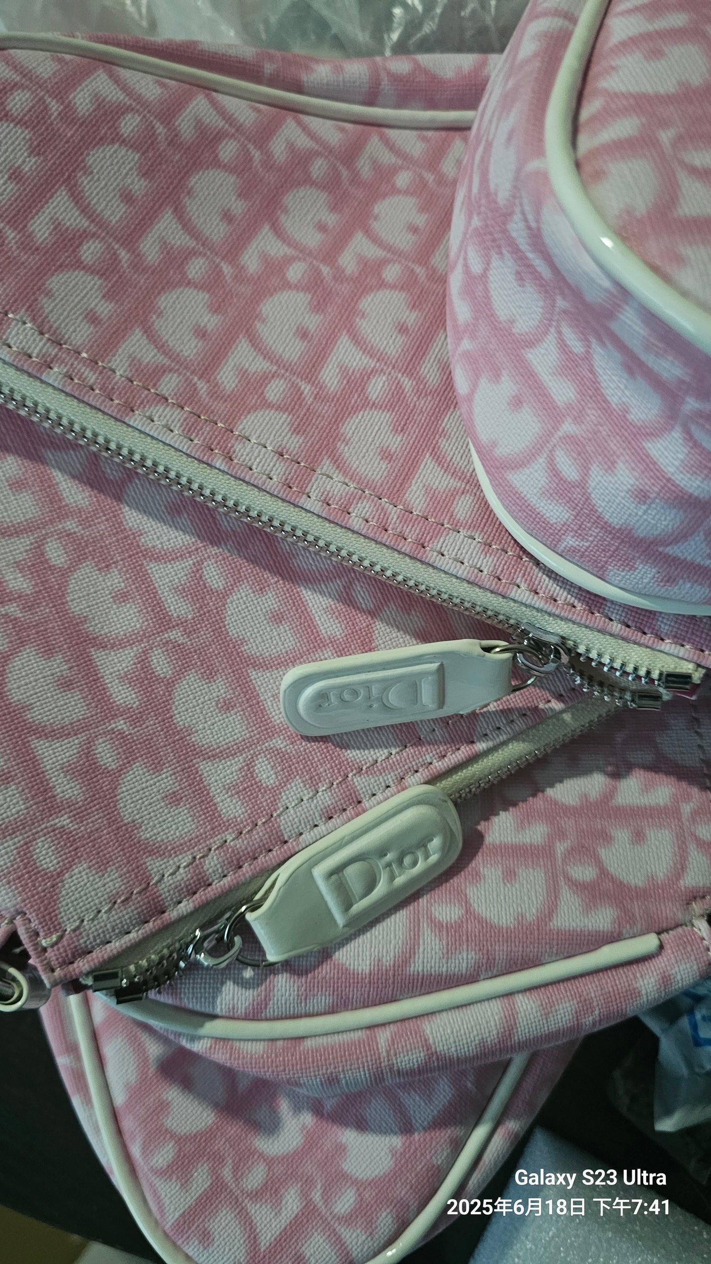 dior YK2 2000S Retro printed saddle bag